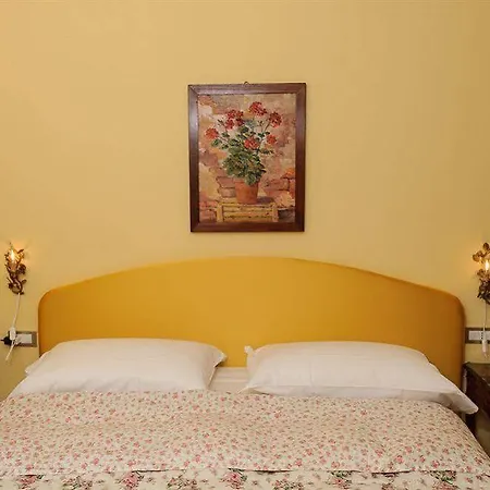 Hotel Olivedo